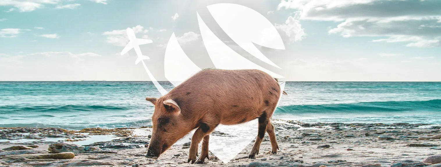 vaction banner